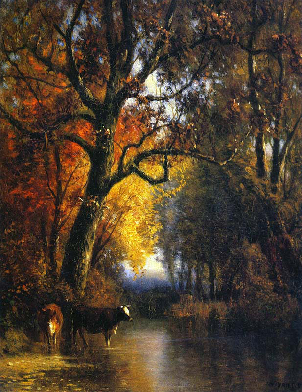 The Water's Edge